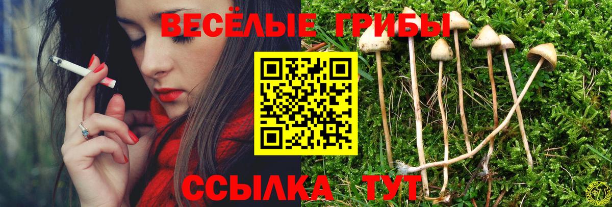 Псилоцибиновые грибы прущие грибы Кострома